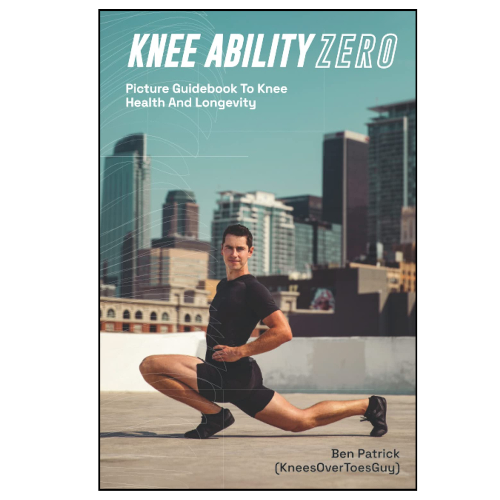 Knee Ability Zero ebook cover